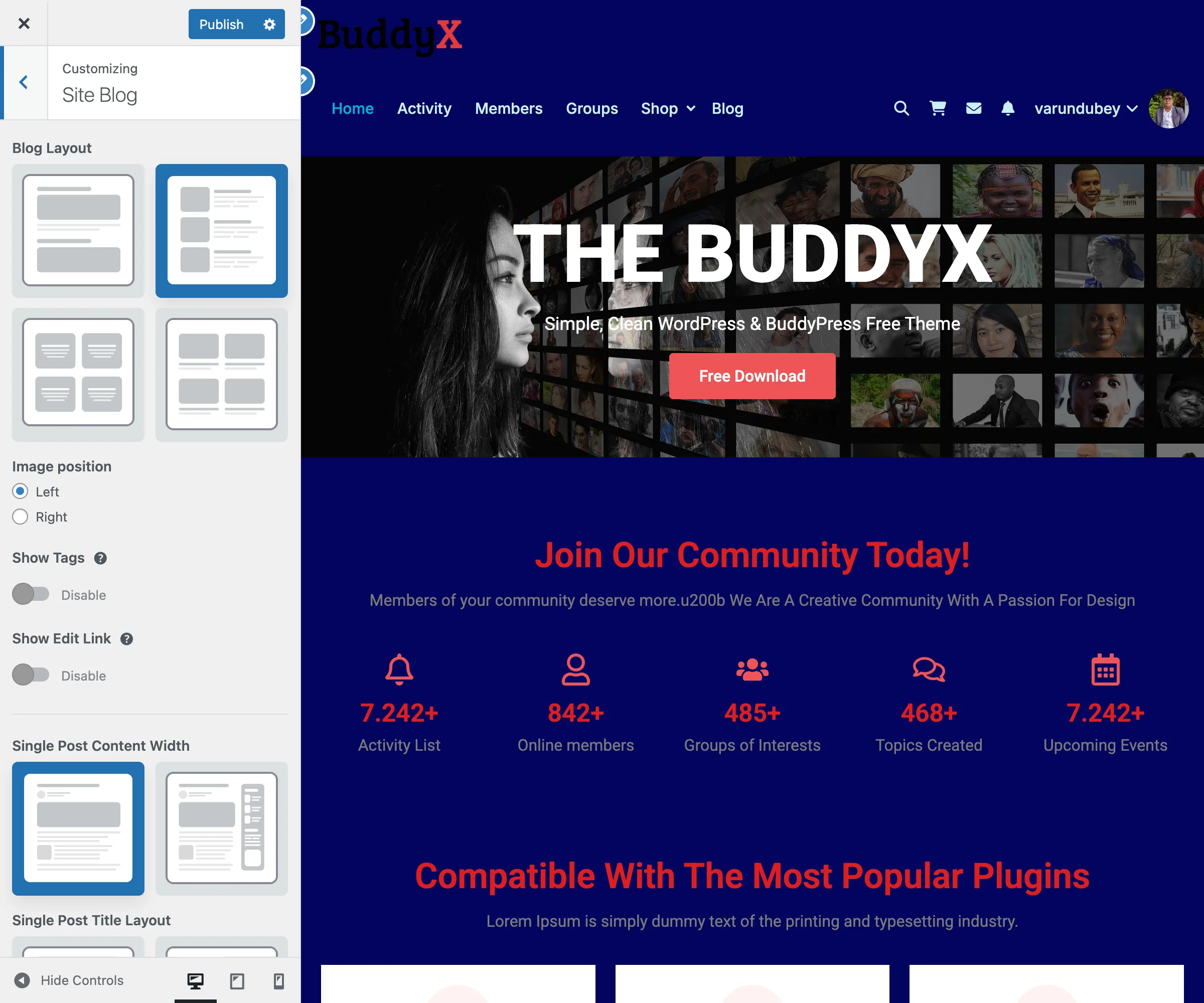 Site Blog Panel