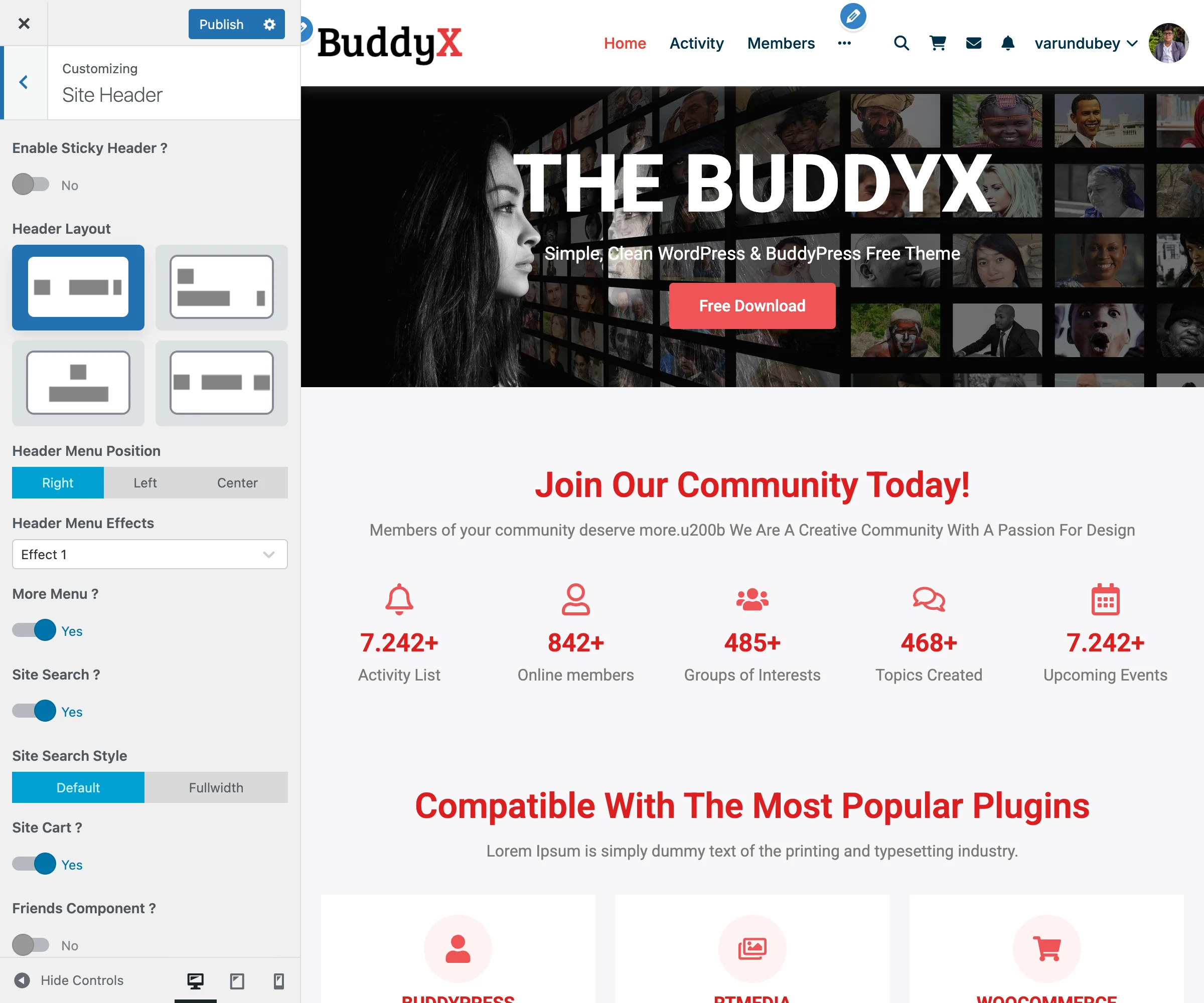 Site Header Panel