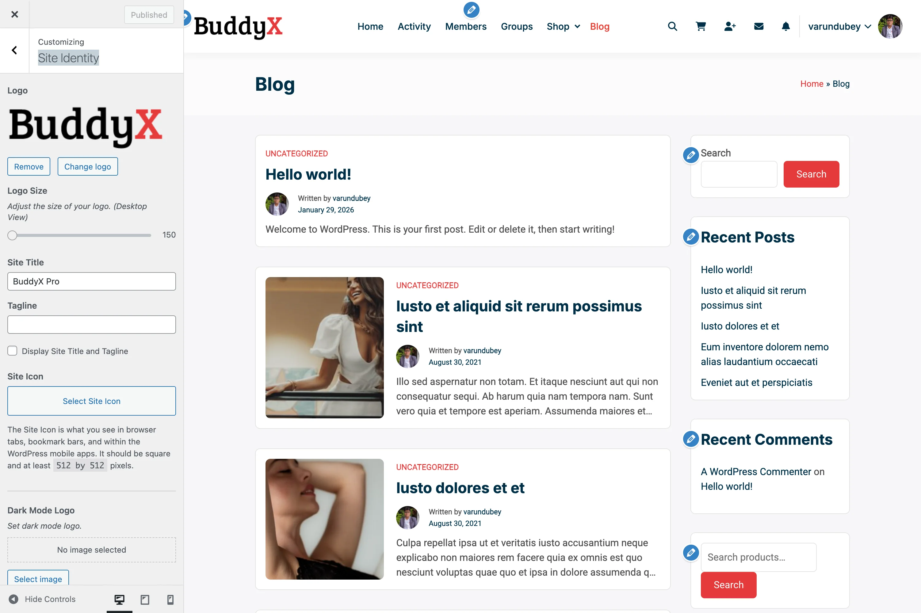 Site Identity Settings