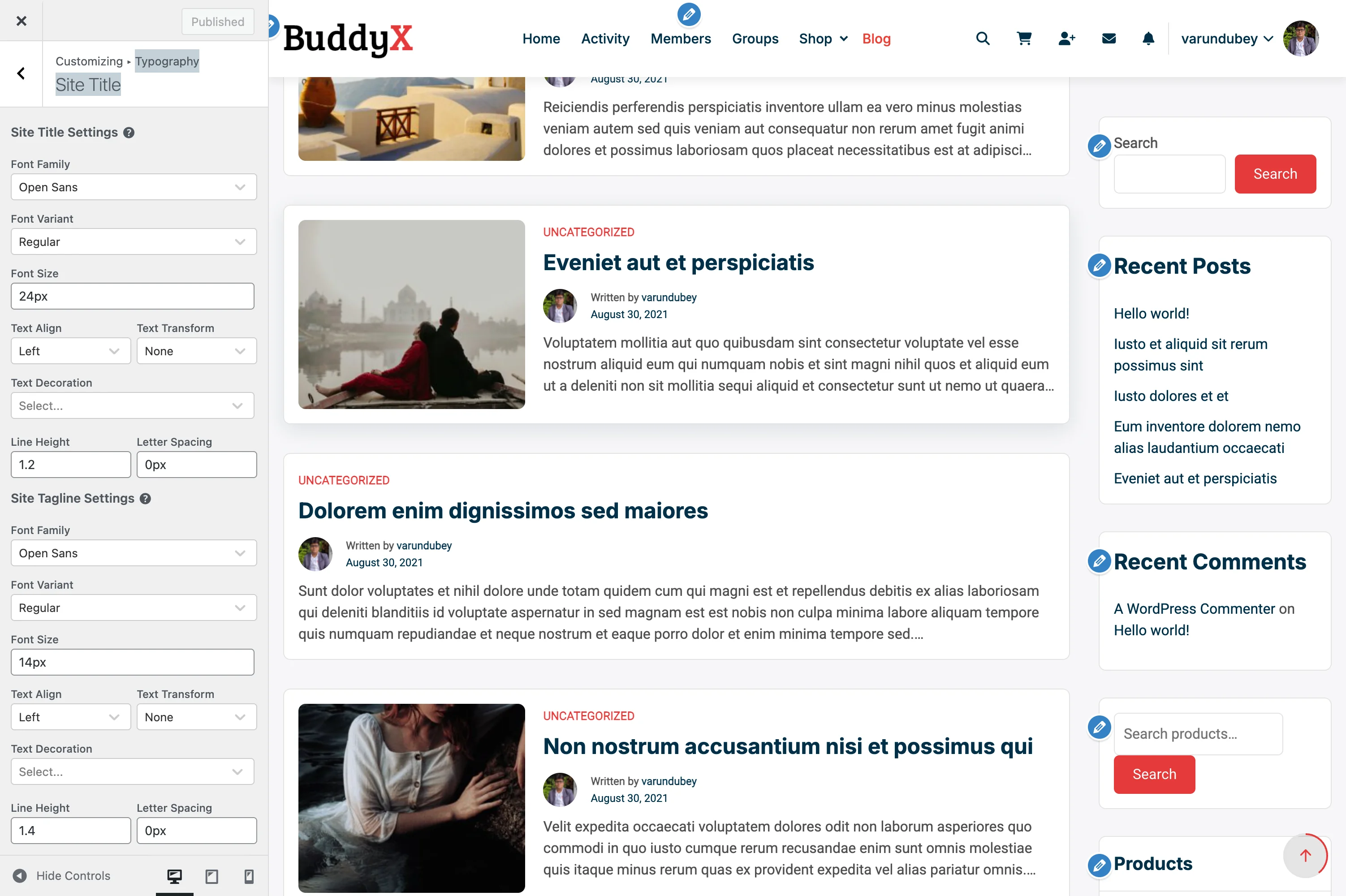 Site Identity Typography