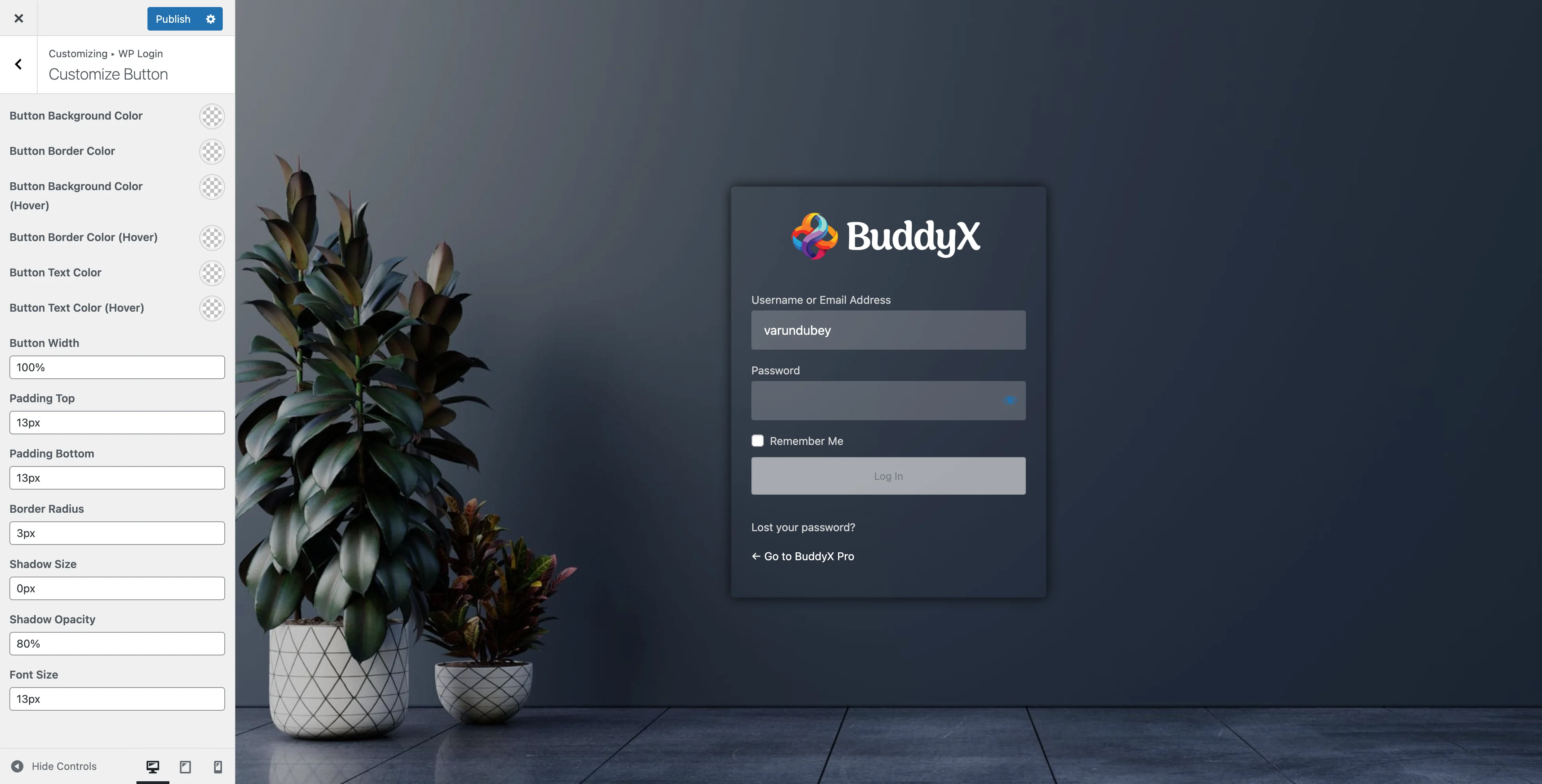WP Login Button Settings