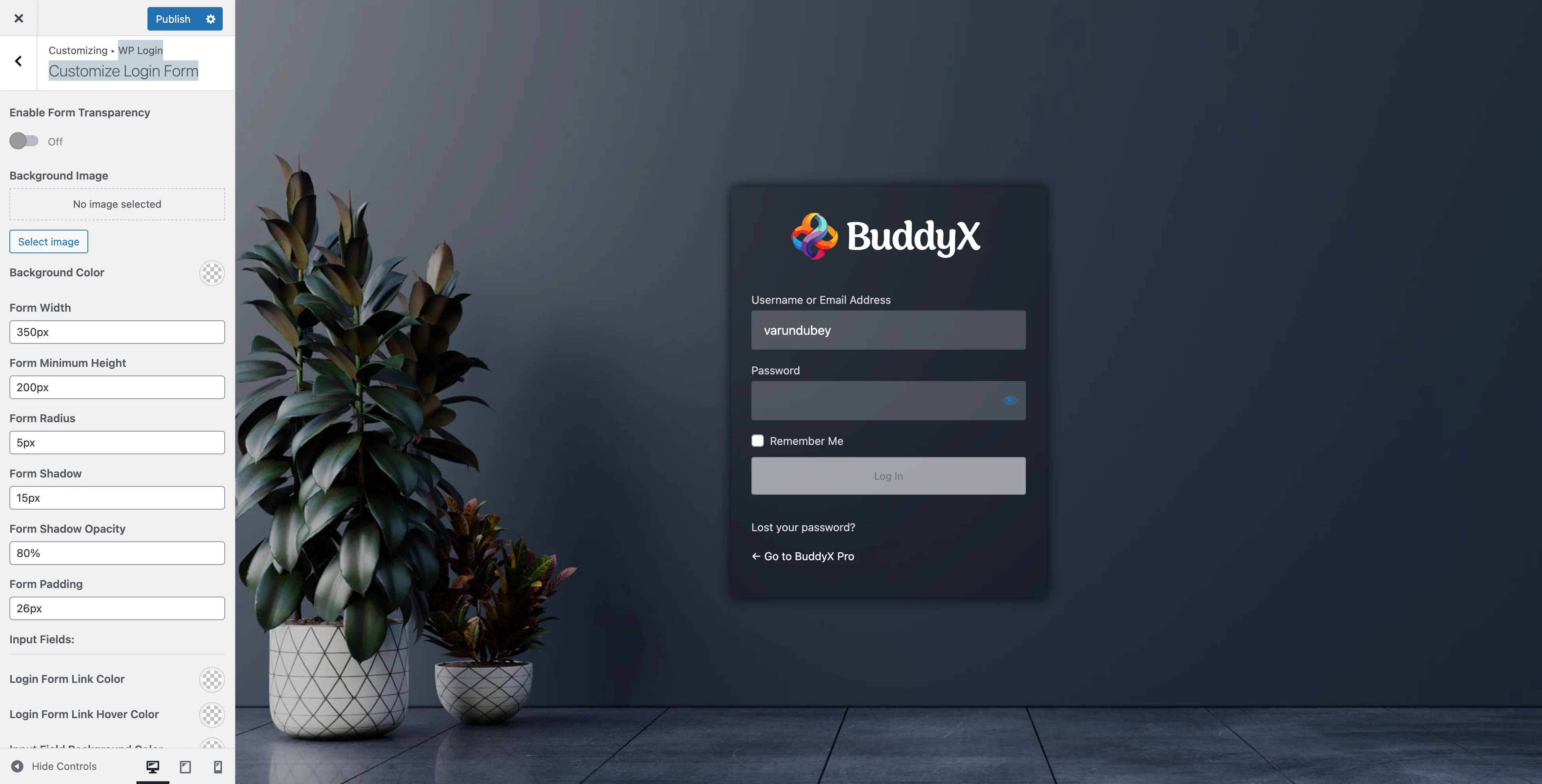 WP Login Form Settings