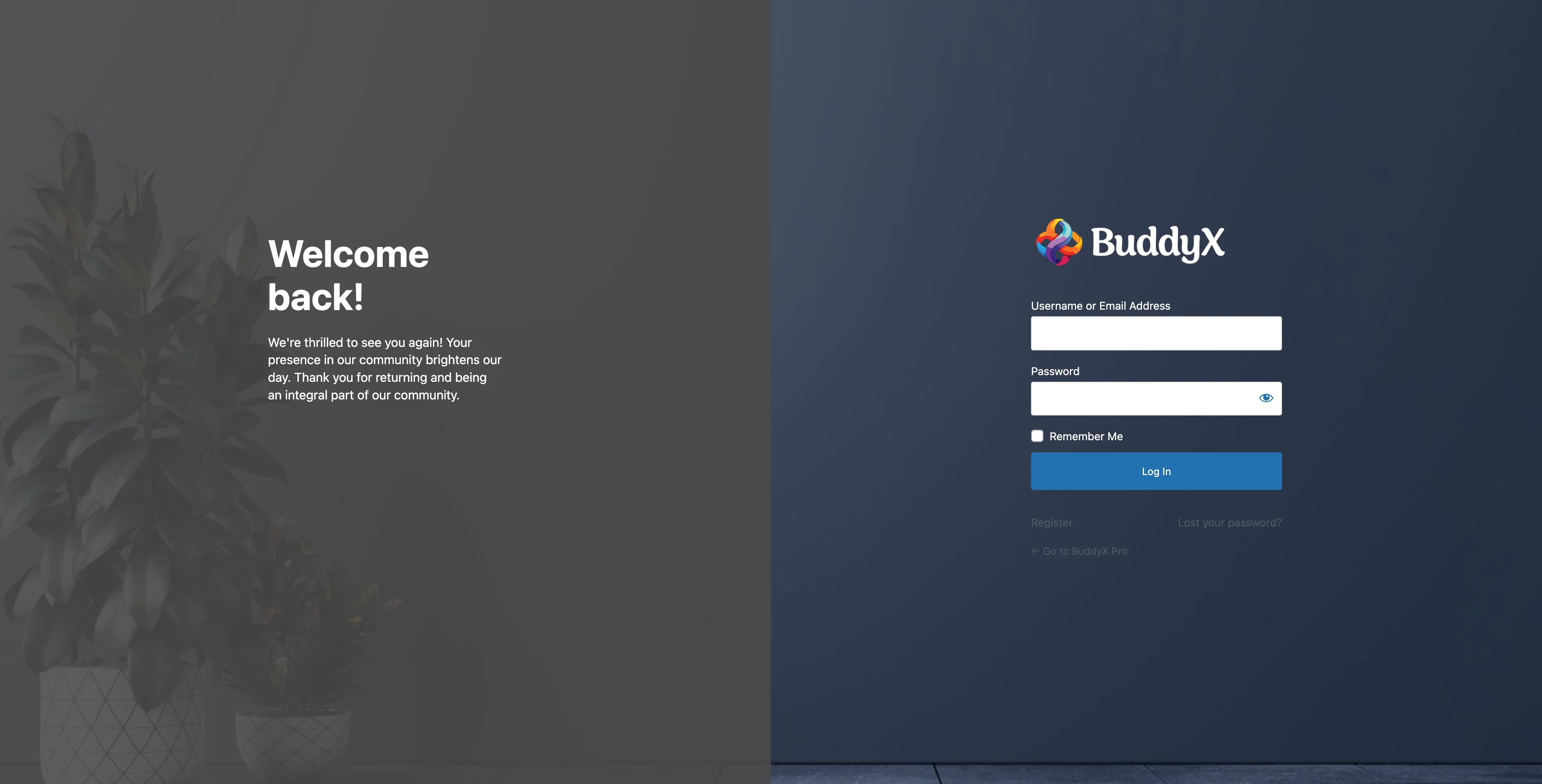 WP Login Page Result