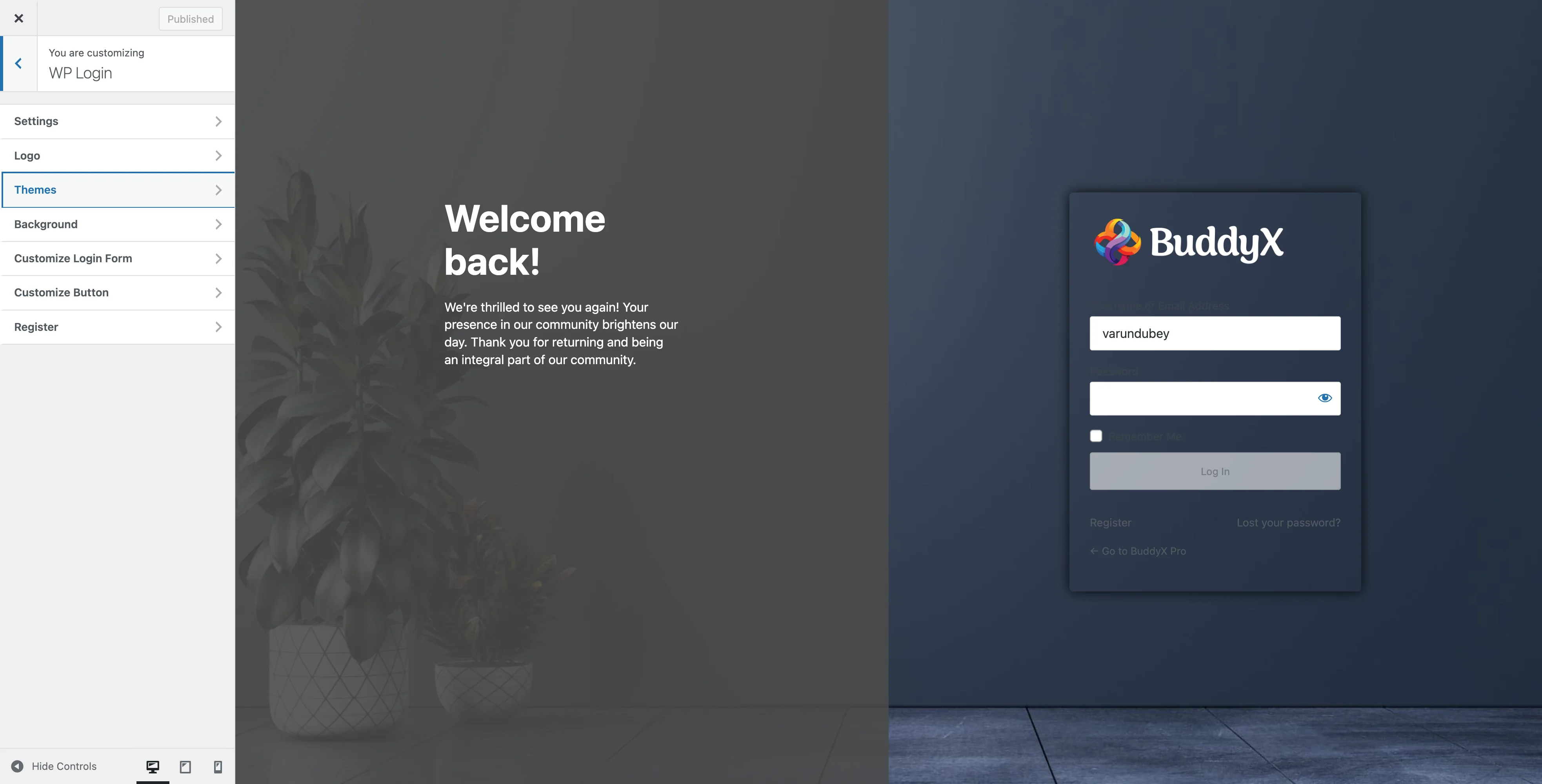 WP Login Page Panel