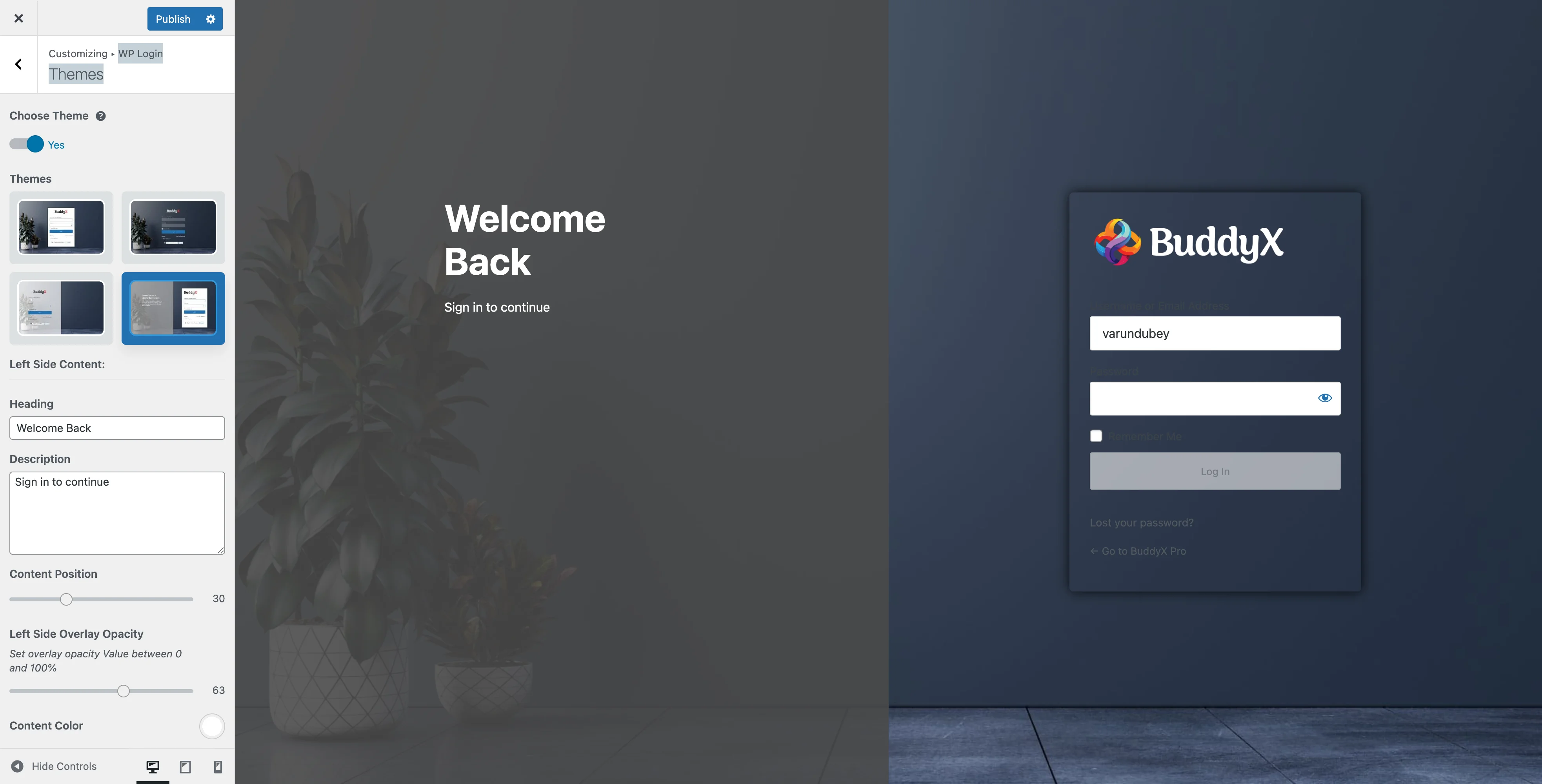 WP Login Split View Theme