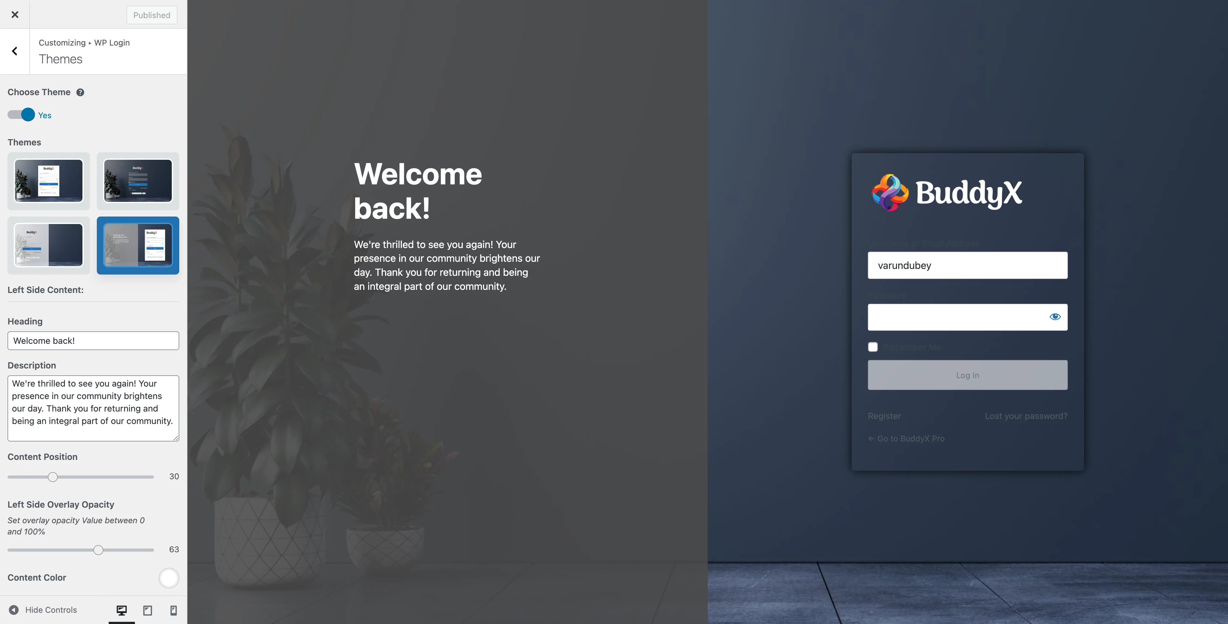 WP Login Themes