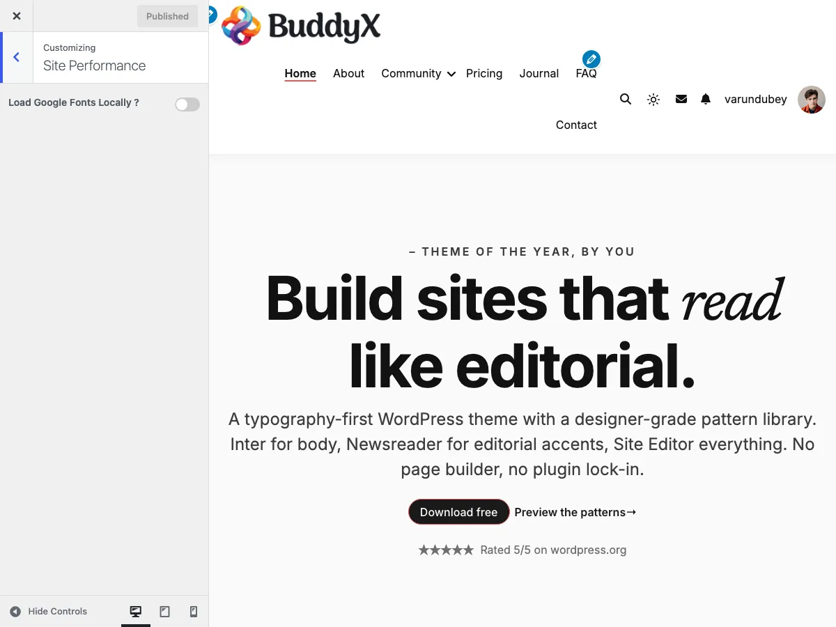 Customizer Site Performance section showing Load Google Fonts Locally master toggle (off by default)