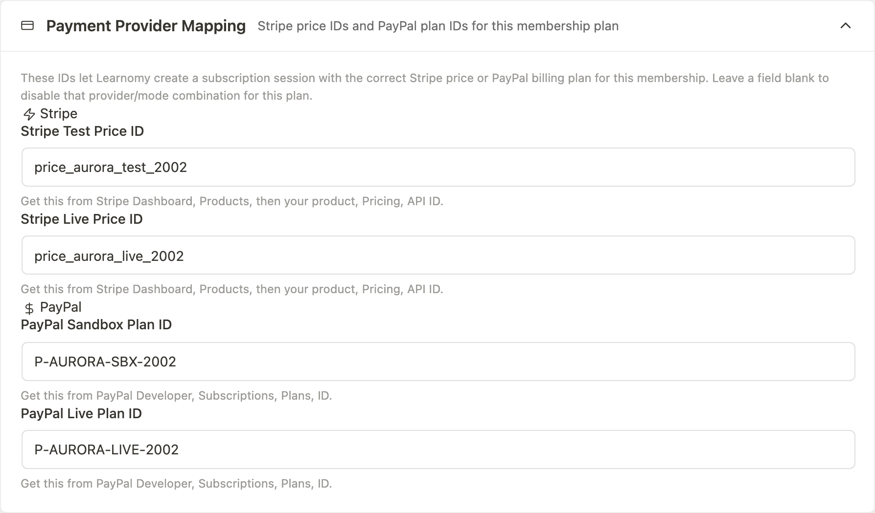 Payment provider mapping