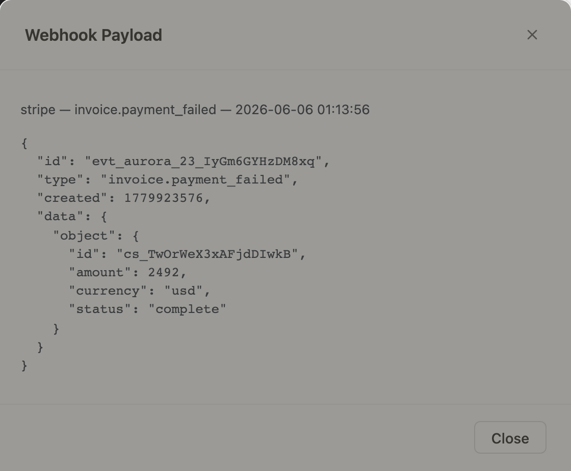 Payload modal detail