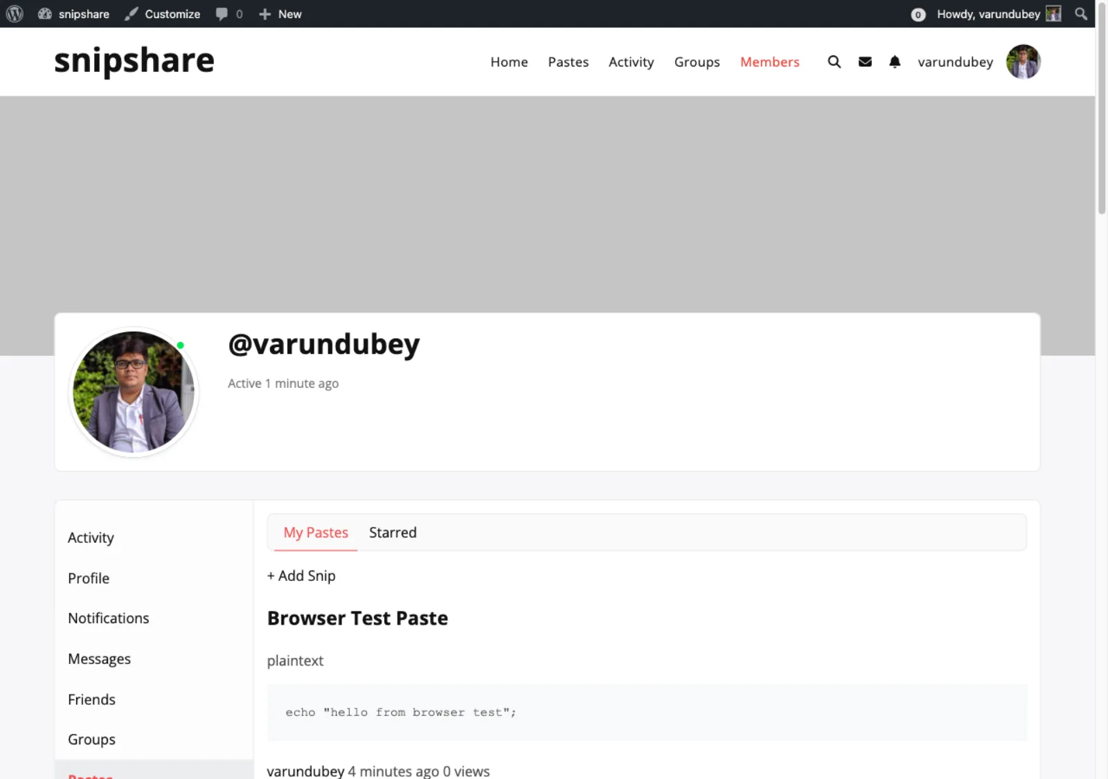 BuddyPress member profile Pastes tab