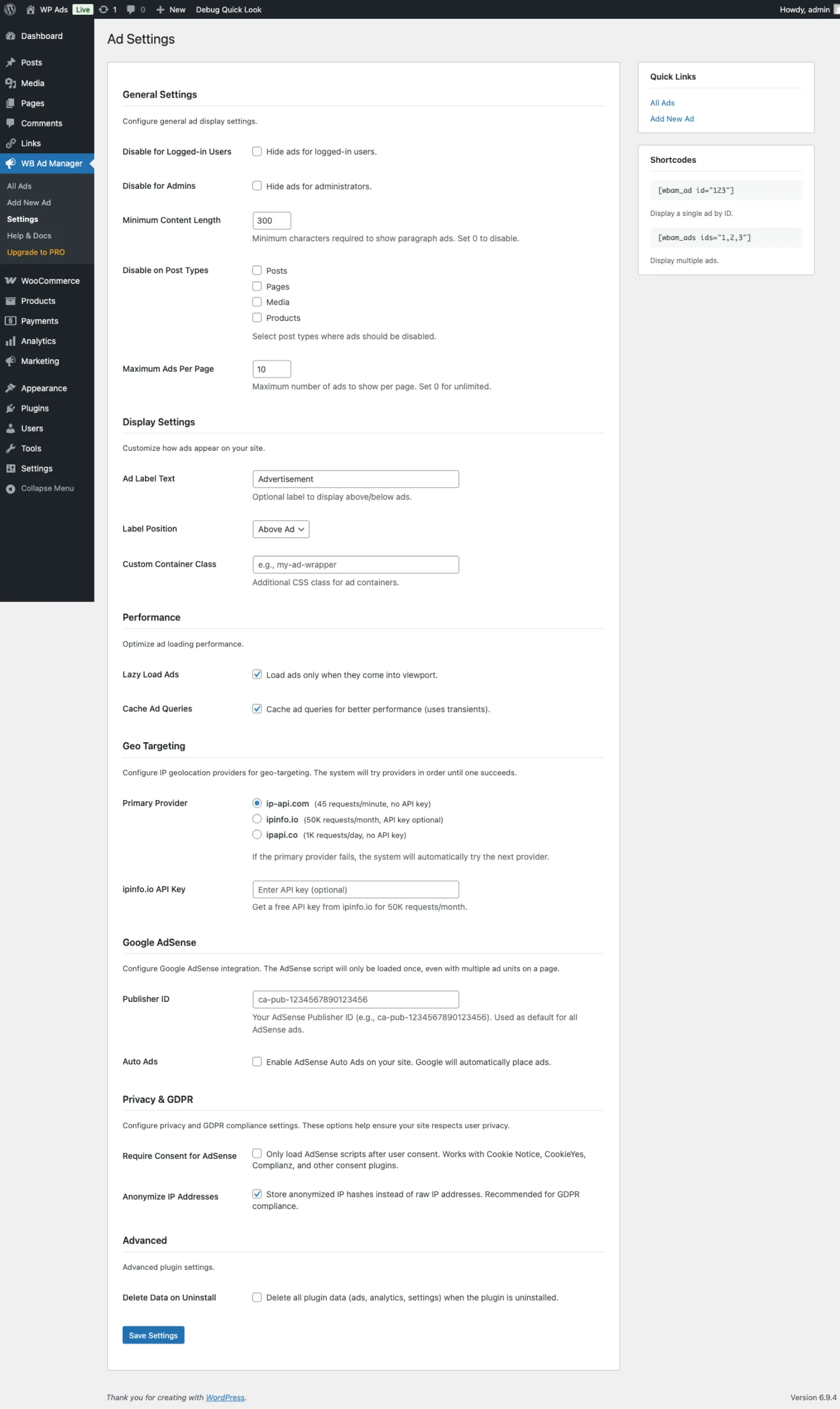 General settings page with display, performance, geo, AdSense and privacy sections