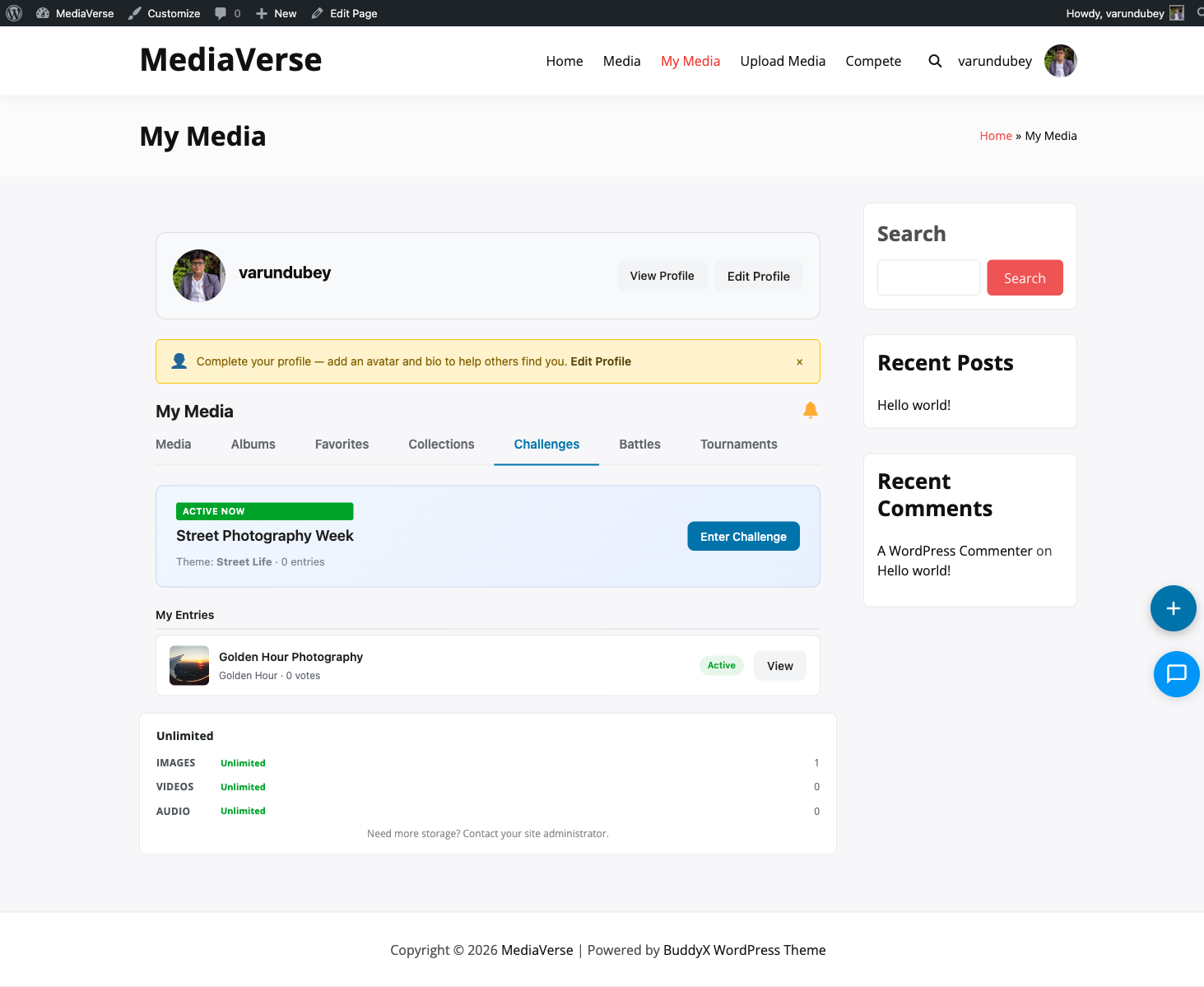 Challenge entry submission form