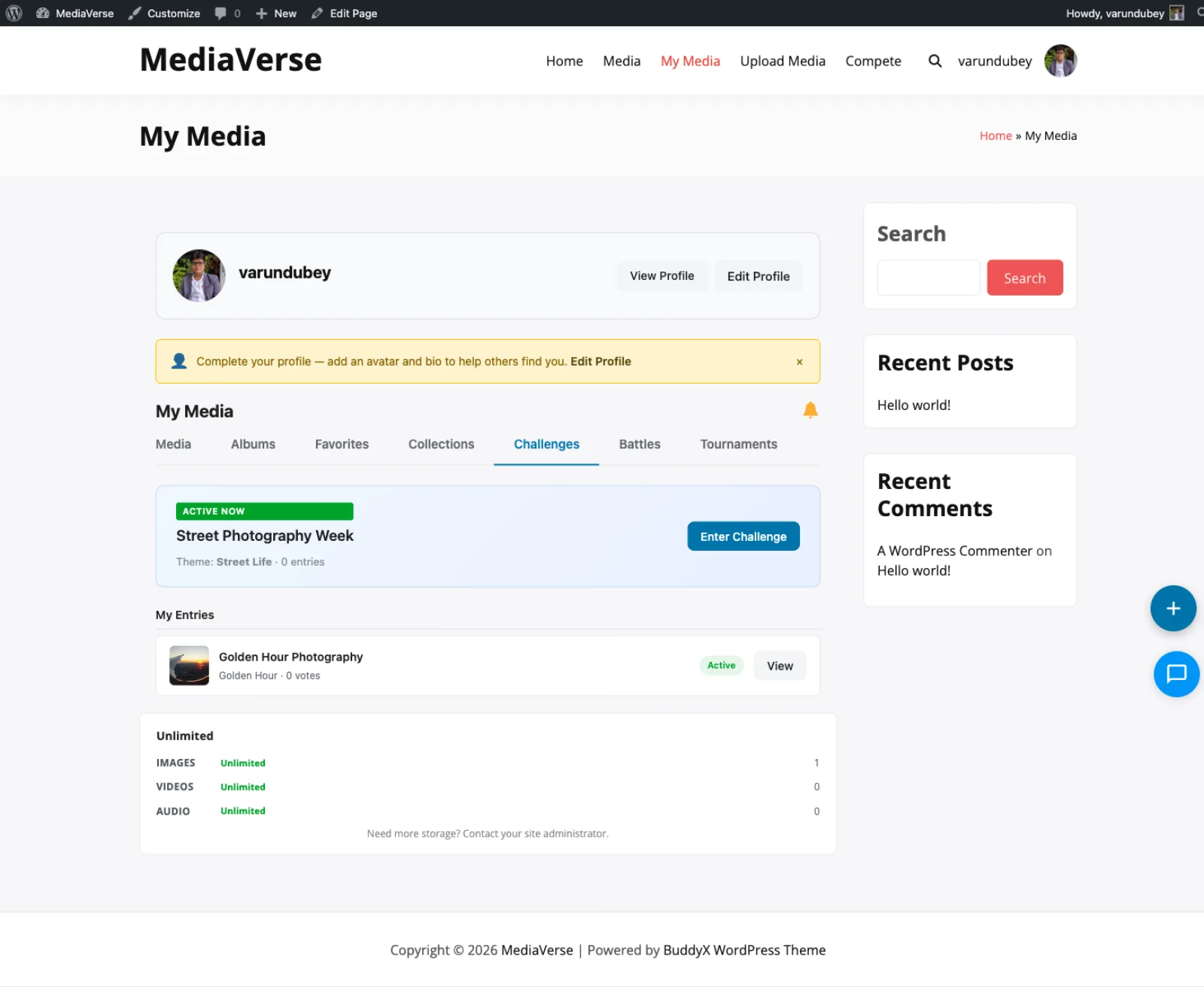 Challenge entry submission form